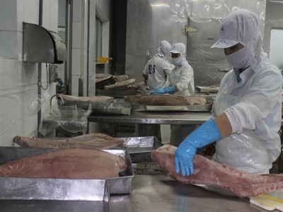 Tuna exports to EU grow thanks to trade deal
