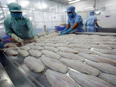 Pangasius reversed, pushing up seafood exports