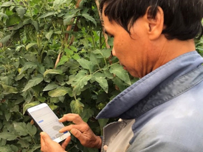 Digital transformation – future of Vietnams agriculture