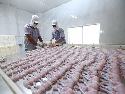 Hundreds of Vietnamese seafood firms permitted to export to Taiwan