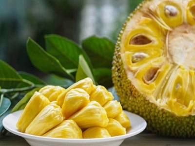 Vietnamese frozen jackfruit sent to Australia for trade promotion