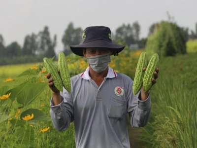 Ecoagriculture - An option for Vietnams agriculture