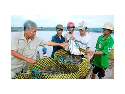 Thương Hiệu Độc Quyền Cho Người Đi Chân Đất