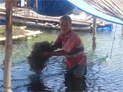 Rong Sụn Thắng To!