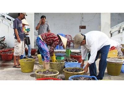 Cày Nát Đáy Biển Săn Banh Lông