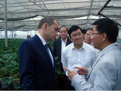 Chủ tịch nước khảo sát mô hình nông nghiệp công nghệ cao