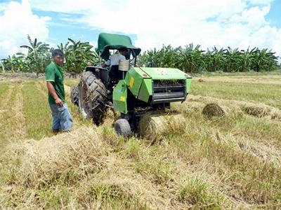 Hướng đến nền sản xuất lúa thân thiện môi trường