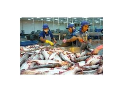 FTA Việt Nam - Hàn Quốc cơ hội đã đến cho thủy sản Việt Nam