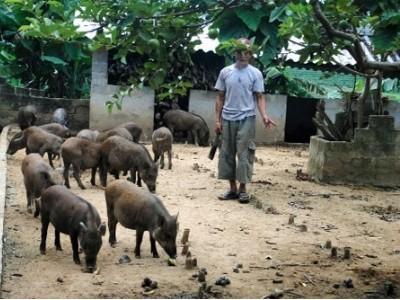 Phát triển trang trại chăn nuôi những vấn đề đặt ra