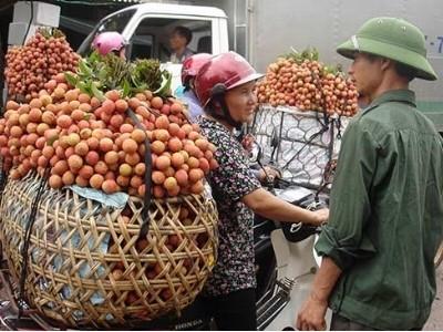 Vải đầu mùa hét 90.000 đồng/kg