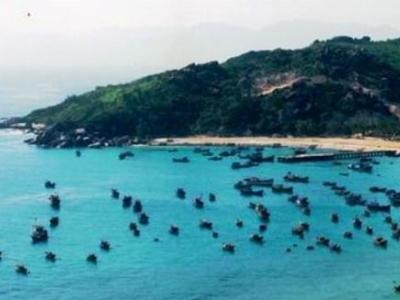 Chấm dứt hoạt động dự án nuôi cấy ngọc trai tại vùng biển xã đảo Nhơn Châu (Bình Định)