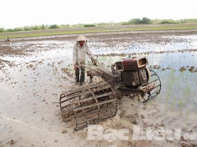 Sản xuất vụ hè thu không nên nóng vội