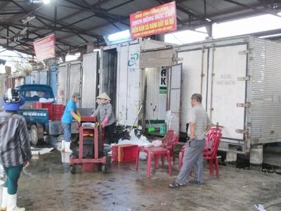 Quảng Bình cần gỡ khó cho doanh nghiệp thu mua cá