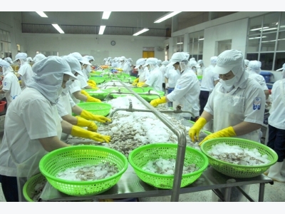 Xuất khẩu thủy sản Bình Định giảm mạnh