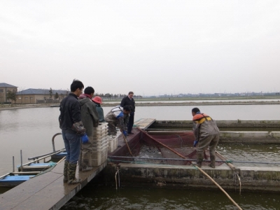 USSEC showcases IPA farming technology in China