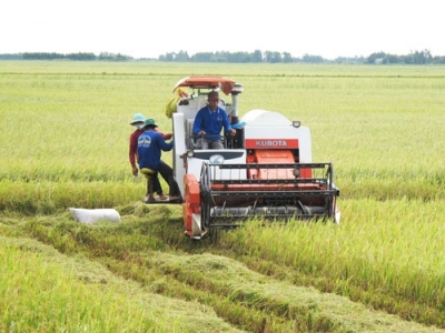 IFC assists Vietnam with sustainable agricultural production