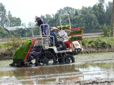 Giảm lượng giống gieo sạ