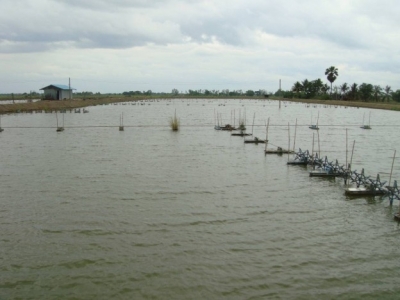 Interactions of pH, Carbon Dioxide, Alkalinity and Hardness in Fish Ponds