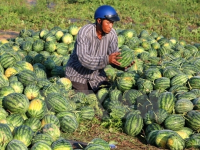 Opportunities for Vietnams fruits, vegetables export