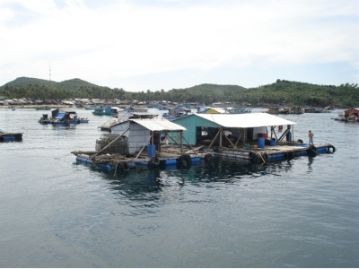 Nghề nuôi biển phải chuyển mạnh sang quy mô lớn, công nghiệp