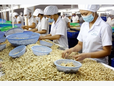 Intl client conference to promote Binh Phuocs cashew