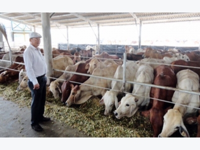 Cattlemen look to imports to meet growing demand for beef