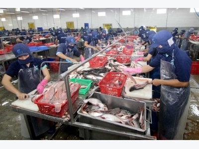 Tra fish prices at 10-year high