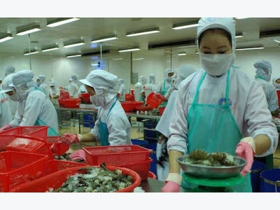 Đánh giá về tăng trưởng nông nghiệp Việt Nam bị thấp hơn thực tế?