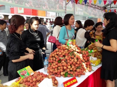 Expanding lychee consumption market