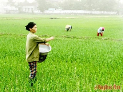 Chăm sóc đúng, đủ cho cây trồng vụ xuân