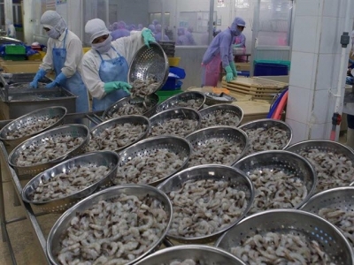 Viet Nam to gain $4.8b from shrimp exports