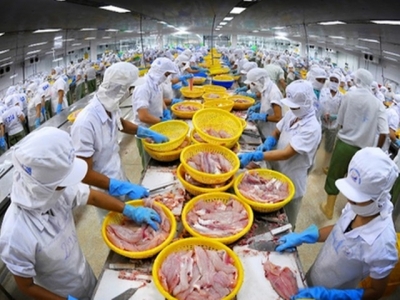 Doors still open for Vietnams catfish to American market