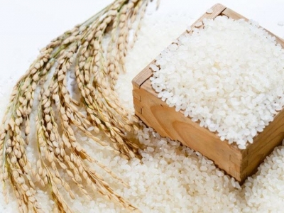 MARD issues regulations on VIETNAM RICE national brand