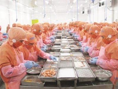 Reason for export seafood returns
