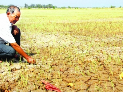 Protecting farmers from climate affect a priority: UN