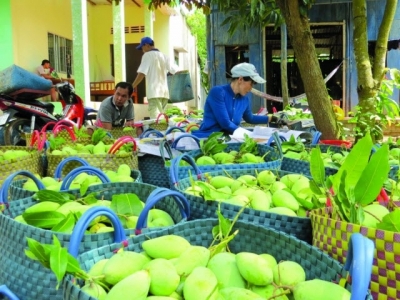 Farm produce exports to discerning markets grow