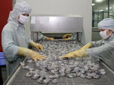 Seafood shipments to EU drop