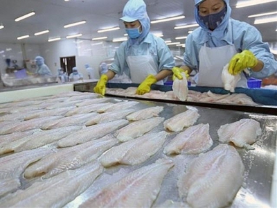 Pangasius exports to the US fall sharply