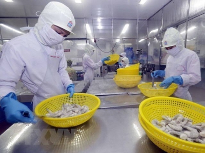 Vietnams shrimp export to Japan shows signs of recovery