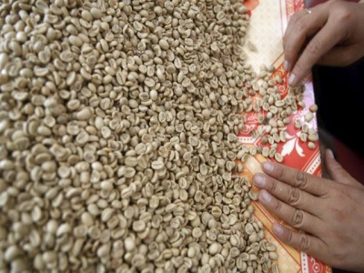Vietnams domestic coffee prices rebound; Indonesian premium expands