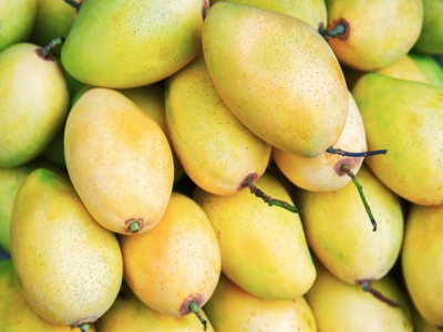 First Vietnamese mangos exported to US