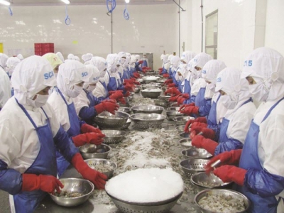 Shrimp exports plunge, the goal of 4.2 billion USD becomes a challenge