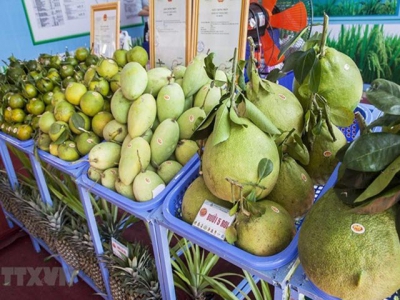 Tien Giang enjoys rising fruit exports