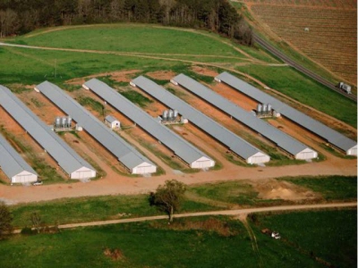 Poultry research farm expansion increases availability, capacity