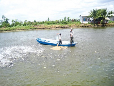 How will Vietnams catfish industry fare amid the rise of new rivals?