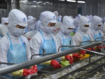 Pandemic has little impact on Việt Nams shrimp exports