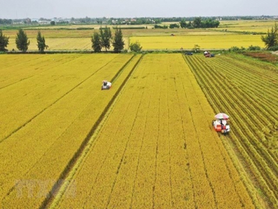 Viet Nam needs market of agricultural land