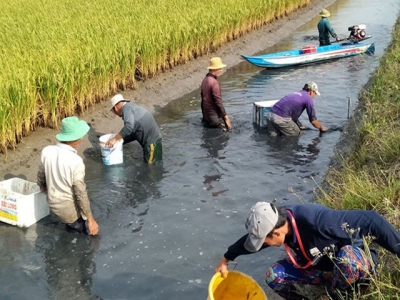 Nhân rộng mô hình nuôi tôm kết hợp tại Bạc Liêu