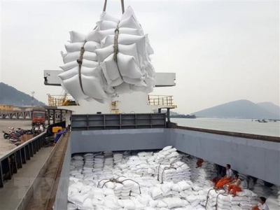 Ministry issues rice export quotas for April