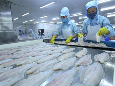 Seafood exporters floundering due to COVID-19